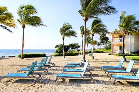 Beach lounge chairs under palm trees with ocean, residential buildings, and white railing visible