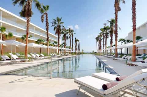 Long rectangular pool flanked by white umbrellas, lounge chairs, and tall palm trees