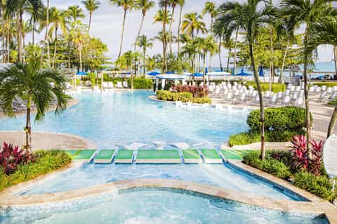 Lagoon-style resort pool with loungers and beachfront palm trees