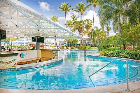 Indoor aquatic center with curved swimming pool, glass ceiling, palm trees, and tropical landscaping