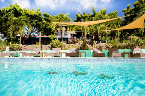 Resort pool with turquoise water, yellow shade sails, tropical landscaping, and beachfront cabanas