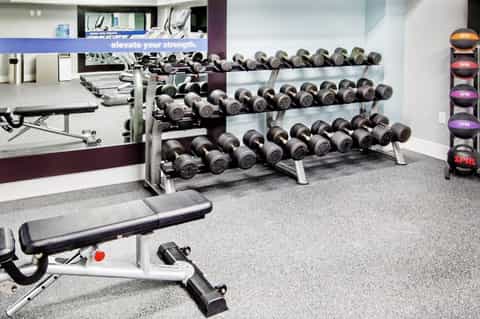 Fitness center with organized dumbbell racks and exercise equipment