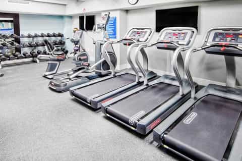 Modern gym interior with treadmills, ellipticals, and free weights