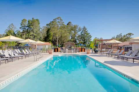 Resort swimming pool with loungers, umbrellas, and palm trees under clear blue sky