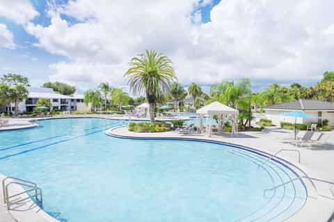 Large resort swimming pool with island centerpiece, palm trees, and white umbrella shelter