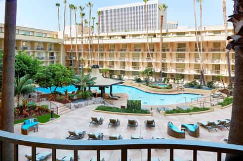 Resort courtyard with curved pool, palm trees, multi-story hotel buildings, and lounge chairs