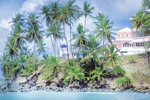 Pink beachfront mansion viewed through palm trees from turquoise water