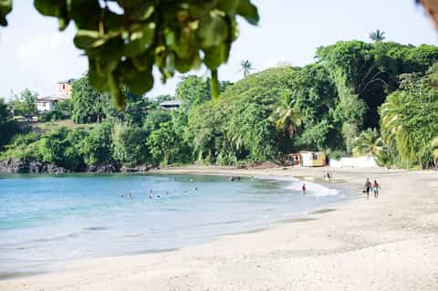 Tropical beach cove with sand, turquoise water, swimmers, lush green hillside, and small beach structures
