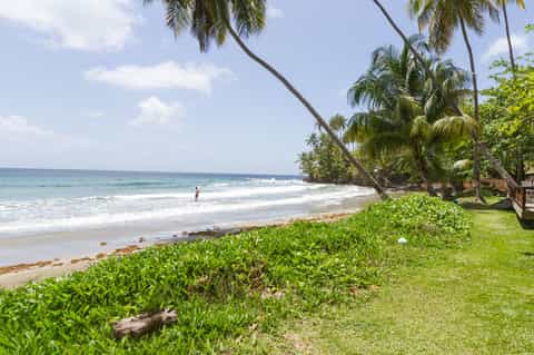 Tropical beach with palm trees, calm ocean waters, and beachfront resort building