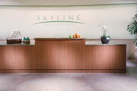 Spa reception desk with 'Skyline Spa & Health Club' signage, wood paneling, and welcoming counter