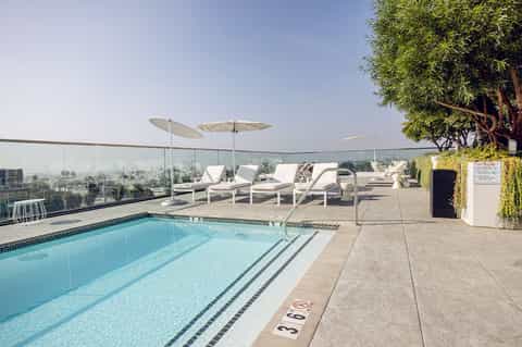 Contemporary rooftop pool with lap lanes, white loungers, umbrellas, and city views