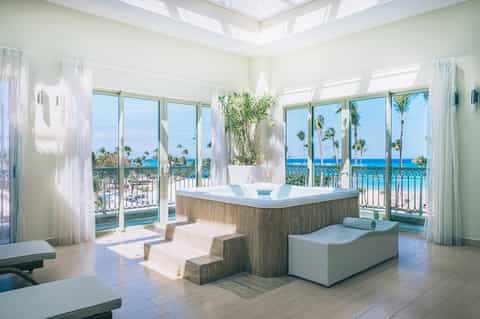 Luxurious spa bathroom with soaking tub, ocean views, and palm tree décor