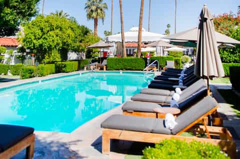 Resort pool with lounge chairs, umbrellas, and manicured hedges under clear sky