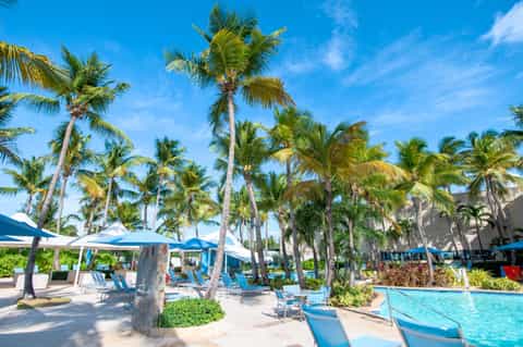 Beachside resort pool surrounded by palm trees, white umbrellas, lounge chairs, and beach access