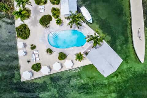 Aerial view of turquoise swimming pool surrounded by palm trees and white lounge chairs near waterfront