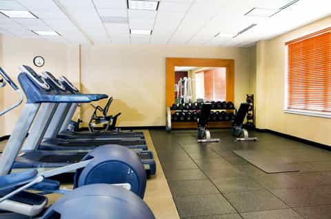 Bright fitness center with blue treadmills, exercise bikes, and free weights