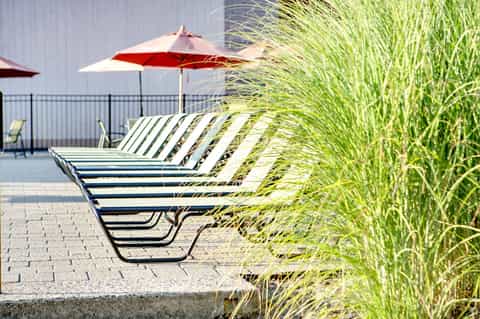 Outdoor lounge chairs with red umbrella and green ornamental grass privacy screen
