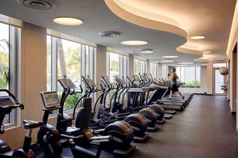 Modern fitness center with rows of treadmills and exercise equipment overlooking palm trees