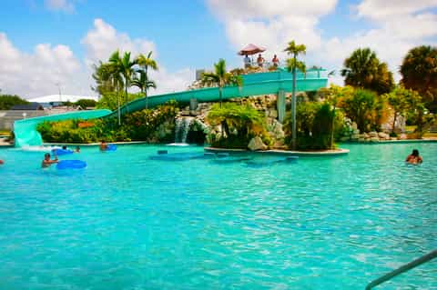 Tropical water park with turquoise pool, waterslide, and palm trees, families swimming