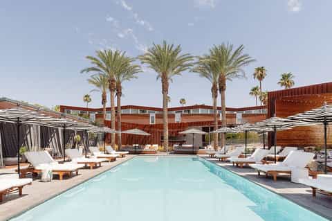 Contemporary resort pool surrounded by palm trees and lounge chairs