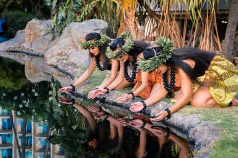 Group of performers in traditional Hawaiian attire feeding koi fish in a lagoon with palm trees