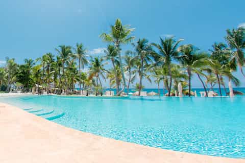Lagoon-style resort pool with shallow water, palm trees, and tropical beach setting