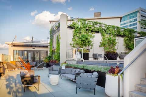 Rooftop terrace with lounge seating, ivy-covered structure, and city skyline views