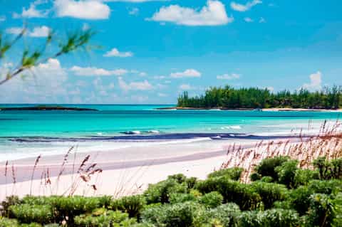 Pristine tropical beach with turquoise water, white sand, and lush green vegetation under blue sky