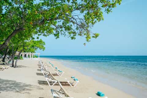 Pristine white sand beach with palm tree shade, lounge chairs in a row, and turquoise ocean water