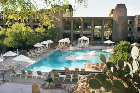Resort pool surrounded by white umbrellas, lounge chairs, and desert landscaping with cacti