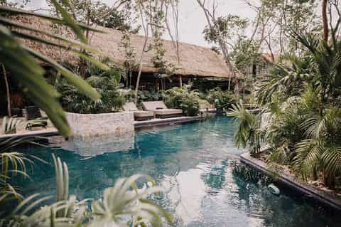 Tropical pool surrounded by thatched-roof structures and lush jungle vegetation