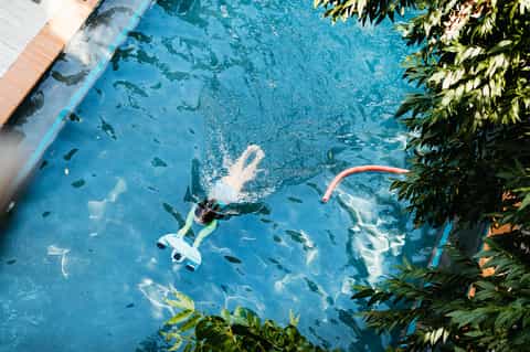 Aerial view of snorkeler in clear turquoise water among tropical plants