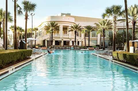 Olympic-sized pool at elegant resort with manicured landscaping and palm-lined courtyard