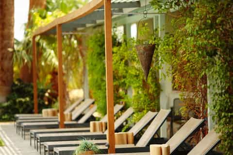 Outdoor pergola lounge with wooden beams, black loungers, and climbing ivy plants