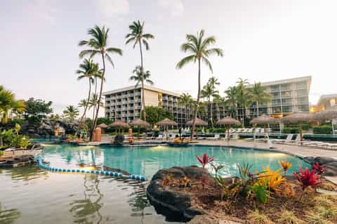 Tropical resort pool with thatched cabanas, palm trees, and multi-story hotel buildings