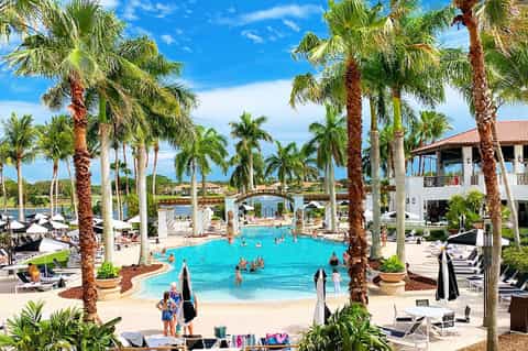 Resort pool surrounded by tall palm trees, with lounge chairs and white buildings