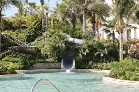 Resort water slide cascading into tropical pool surrounded by palm trees and lush vegetation