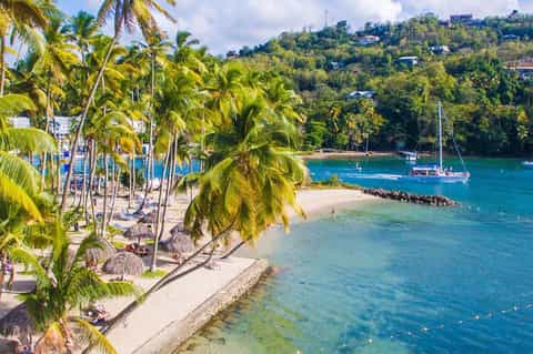 Tropical beach cove with palm trees, white sand, lounge chairs, and sailboats