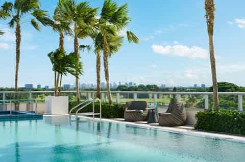 Rooftop infinity pool with city skyline view, palm trees, and lounge seating area
