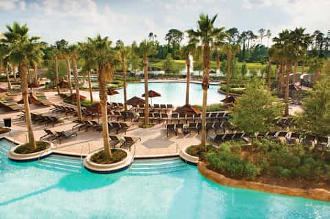 Large lagoon-style pool surrounded by palm trees, lounge chairs with dark umbrellas, and tropical resort grounds