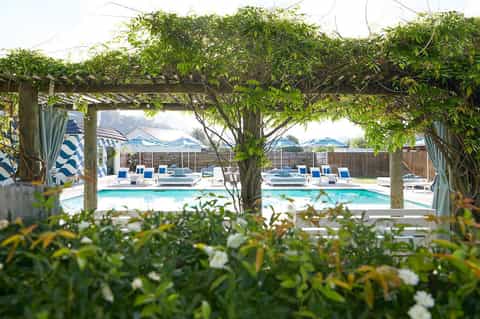 Resort pool framed through vine-covered pergola with lounge chairs and umbrellas visible beyond