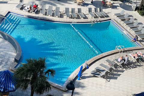 Large lap pool with blue water, lounge chairs, and palm trees from overhead view
