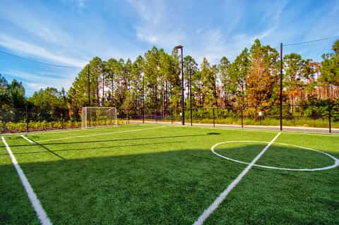 Professional soccer field with white line markings, goal, and tall trees surrounding enclosed venue