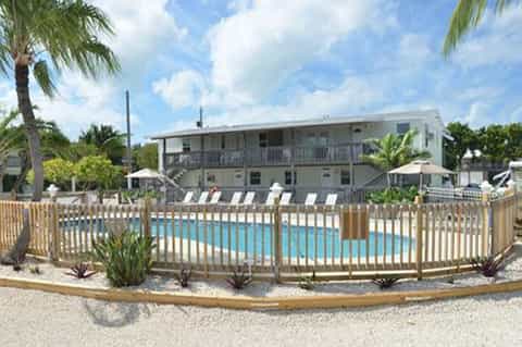 Beachfront resort with pool, lounge chairs, palm trees, and ocean view