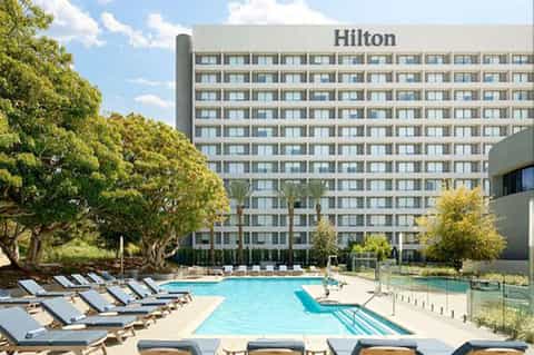 Hilton hotel outdoor pool with lounge chairs, mature trees, and multi-story building backdrop