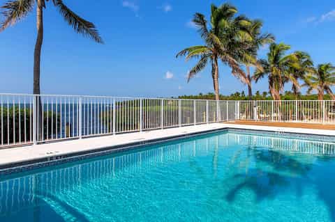 Oceanview rooftop pool with white railings, palm trees, and blue water beyond