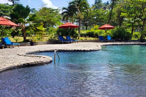 Resort pool area with curved edges, blue lounge chairs, red umbrellas, and tropical landscaping