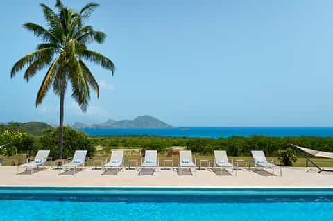 Resort pool with white lounge chairs, palm tree, and volcanic island ocean view