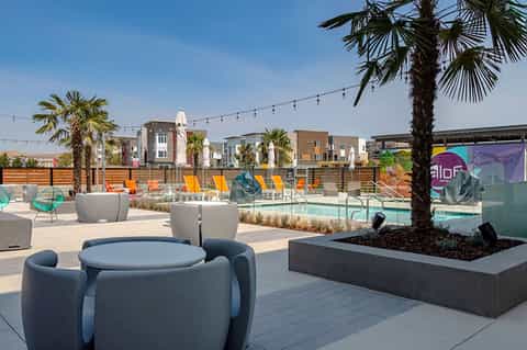 Rooftop pool area with colorful lounge chairs, palm trees, and downtown buildings