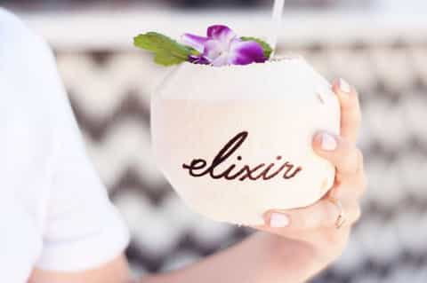 White coconut drink with 'elixir' text and purple orchid garnish held by person's hand